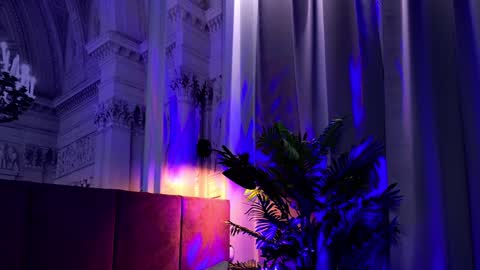 Sofia online show from January 24, 2:19 pm