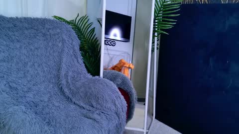 Sofia online show from April 1, 5:52 am