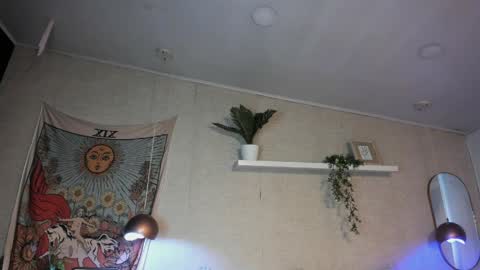 Snapshot of sofii_wild chatting on May 30, 12:13 pm sofii_wild online show from May 30, 12:13 pm