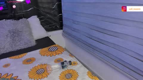 Sofia online show from March 11, 5:35 am