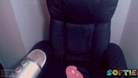 Snapshot of soft_serv chatting on March 25, 6:30 am Softie 3 online show from March 25, 6:30 am