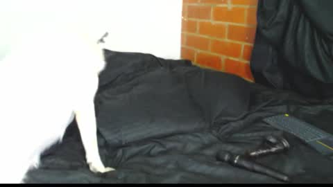 Snapshot of sofy_dep chatting on February 21, 3:07 am Sofy online show from February 21, 3:07 am