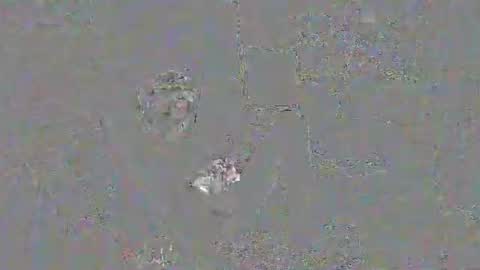 Snapshot of solilay chatting on March 29, 2:28 pm solilay online show from March 29, 2:28 pm