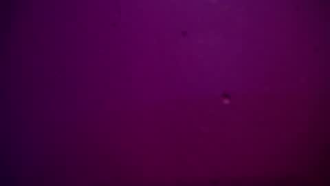 Alexa online show from December 28, 11:26 pm