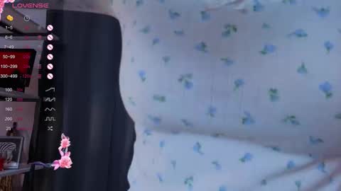 Sofia online show from November 5, 5:24 pm