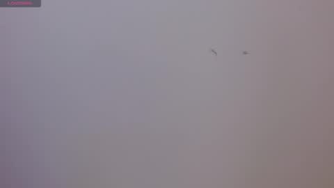 Sophie online show from November 17, 8:25 pm