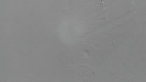 sophia_ebony___ online show from February 8, 1:14 pm