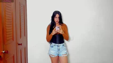 Snapshot of sophia_harry chatting on February 11, 11:54 pm sophia CM online show from February 11, 11:54 pm