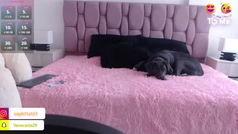 Sophia Carson online show from January 1, 5:11 pm