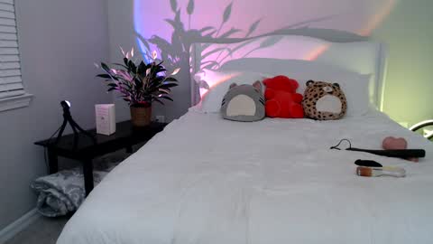 Snapshot of sophieeestar chatting on January 7, 12:55 am Sophie Star online show from January 7, 12:55 am