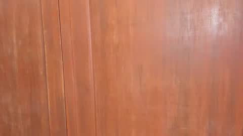 Snapshot of sophiia88 chatting on February 18, 12:01 pm Shopiia88 online show from February 18, 12:01 pm