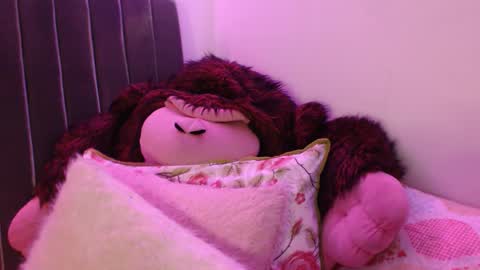 Sophia this is not my real name online show from November 28, 1:52 am