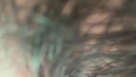 Snapshot of soprettyithurts69 chatting on November 10, 3:33 pm soprettyithurts69 online show from November 10, 3:33 pm