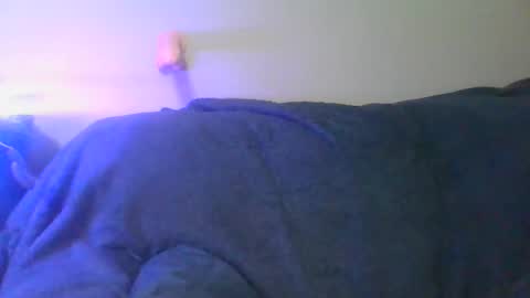 Scottietee online show from April 11, 7:45 am