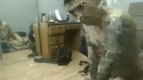 Snapshot of speedfreekeespun chatting on February 25, 7:14 pm speedfreekeespun online show from February 25, 7:14 pm