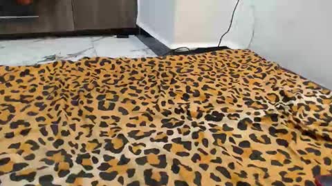 Snapshot of spice_queen chatting on September 13, 12:43 am dela online show from September 13, 12:43 am