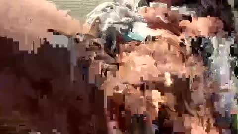 Snapshot of spicysam7901 chatting on December 16, 7:32 pm Sammi online show from December 16, 7:32 pm