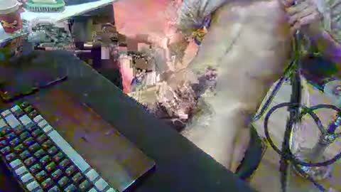 SPOKO online show from February 22, 1:31 pm