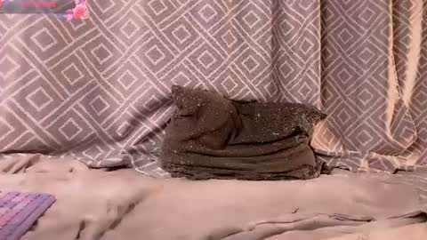   Im starting to stream at 300 GMT  Fansly  online show from July 11, 9:12 am