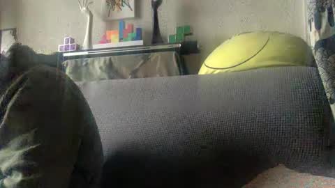 srekos38 online show from February 8, 9:46 am