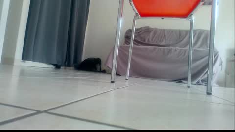 Snapshot of ssenzo chatting on December 21, 2:13 pm ssenzo online show from December 21, 2:13 pm