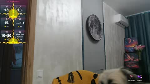 STACY online show from May 28, 11:40 am