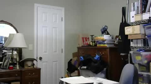 stasw20 online show from September 14, 5:45 pm