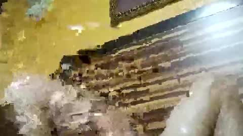 Snapshot of stchelly627 chatting on March 8, 6:28 am stchelly627 online show from March 8, 6:28 am