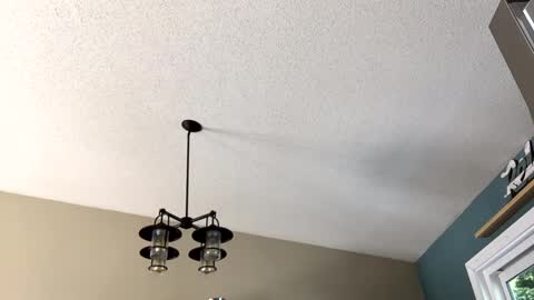 Steakman online show from February 23, 6:01 pm