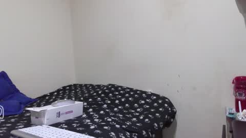 STEFANA online show from November 30, 5:44 am