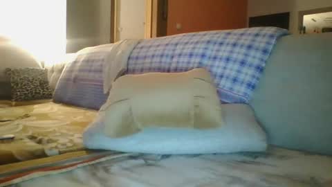 steki038434 online show from January 12, 2:03 am