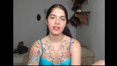 Snapshot of stella_art chatting on February 13, 2:40 am Stella online show from February 13, 2:40 am