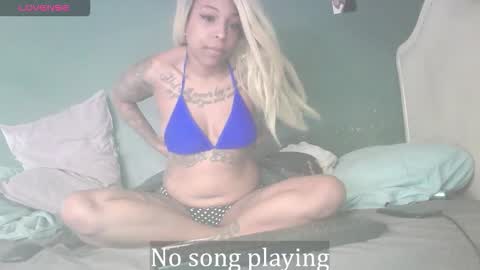 Stella Clitella online show from January 17, 10:53 am