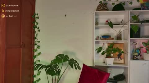 stellart_ online show from November 30, 10:14 pm