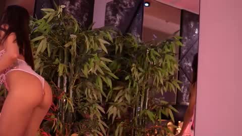 Steph online show from January 13, 8:08 am