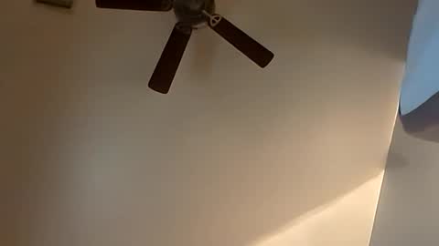 sterng123 online show from October 20, 3:51 am