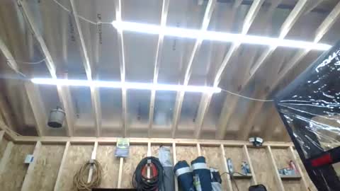 steved6001 online show from March 21, 7:50 pm