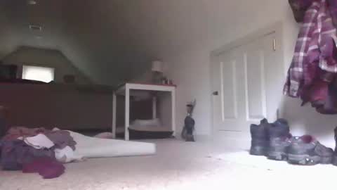 Snapshot of stevedevinrachel chatting on October 13, 5:57 pm steve online show from October 13, 5:57 pm