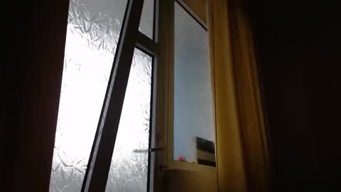 Steven online show from November 6, 8:37 am