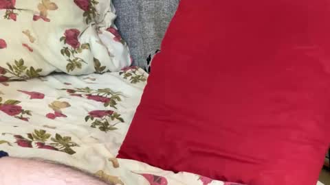 Chris online show from October 21, 11:22 am