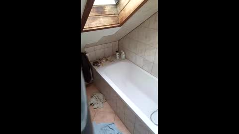 stiffler83pl online show from March 16, 12:53 pm