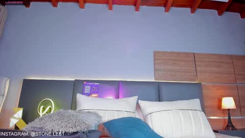Snapshot of stone_lee_ chatting on January 21, 4:54 am Stone Lee online show from January 21, 4:54 am