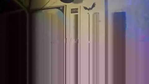 Str8 online show from May 26, 1:23 am