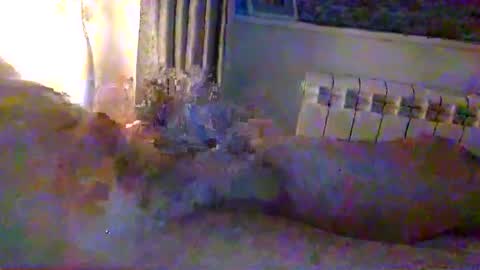 Snapshot of str8guy2015 chatting on January 24, 4:28 pm str8guy2015 online show from January 24, 4:28 pm