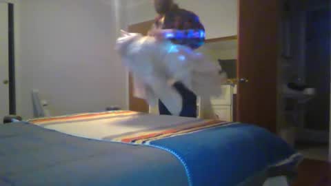 Chris4AllToWatch online show from January 14, 6:08 am