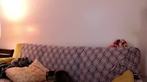 Snapshot of strawberrylotsacake chatting on November 24, 4:07 pm Strawberrylotsacake online show from November 24, 4:07 pm