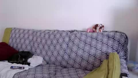 Strawberrylotsacake online show from March 26, 1:49 pm