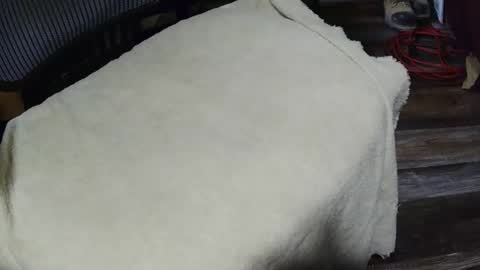 Snapshot of strokingmymeat336 chatting on November 11, 3:34 pm strokingmymeat336 online show from November 11, 3:34 pm