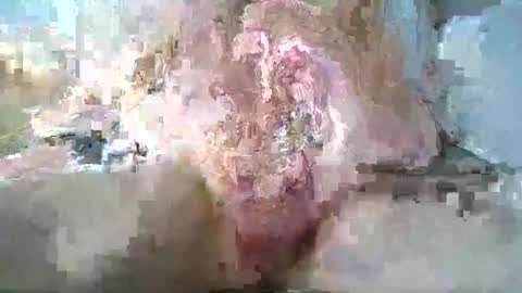 Snapshot of stthomasyr chatting on May 13, 1:36 am stthomasyr online show from May 13, 1:36 am