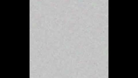 stud4cougar online show from November 26, 2:23 am